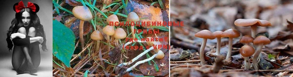 круглые Алексин