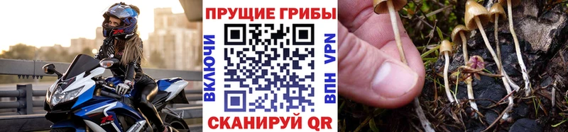 Галлюциногенные грибы мухоморы  кракен ONION  Жигулёвск 